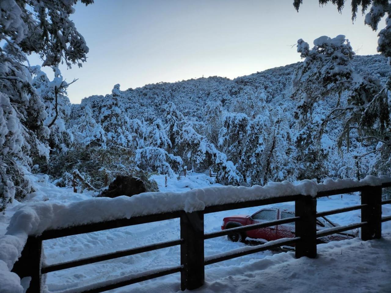 Rincon Del Bosque, *
